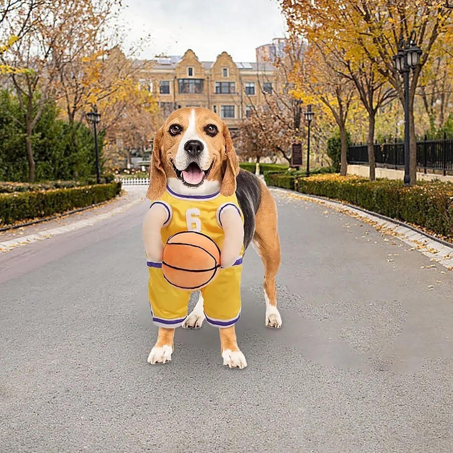 Pet Costumes Dog Basketball Player Costume Halloween Costumes