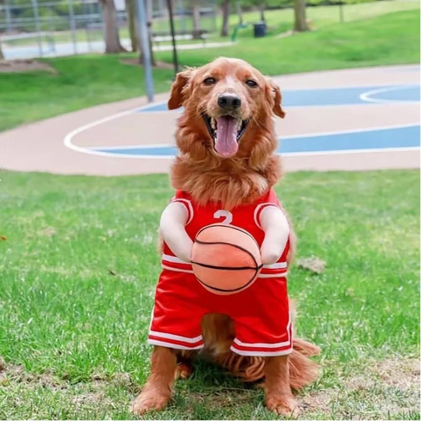 Pet Costumes Dog Basketball Player Costume Halloween Costumes