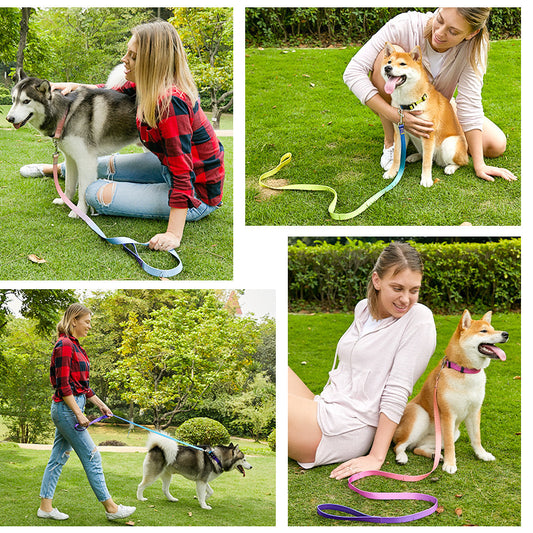 Nylon Pet Collar Traction Rope Set