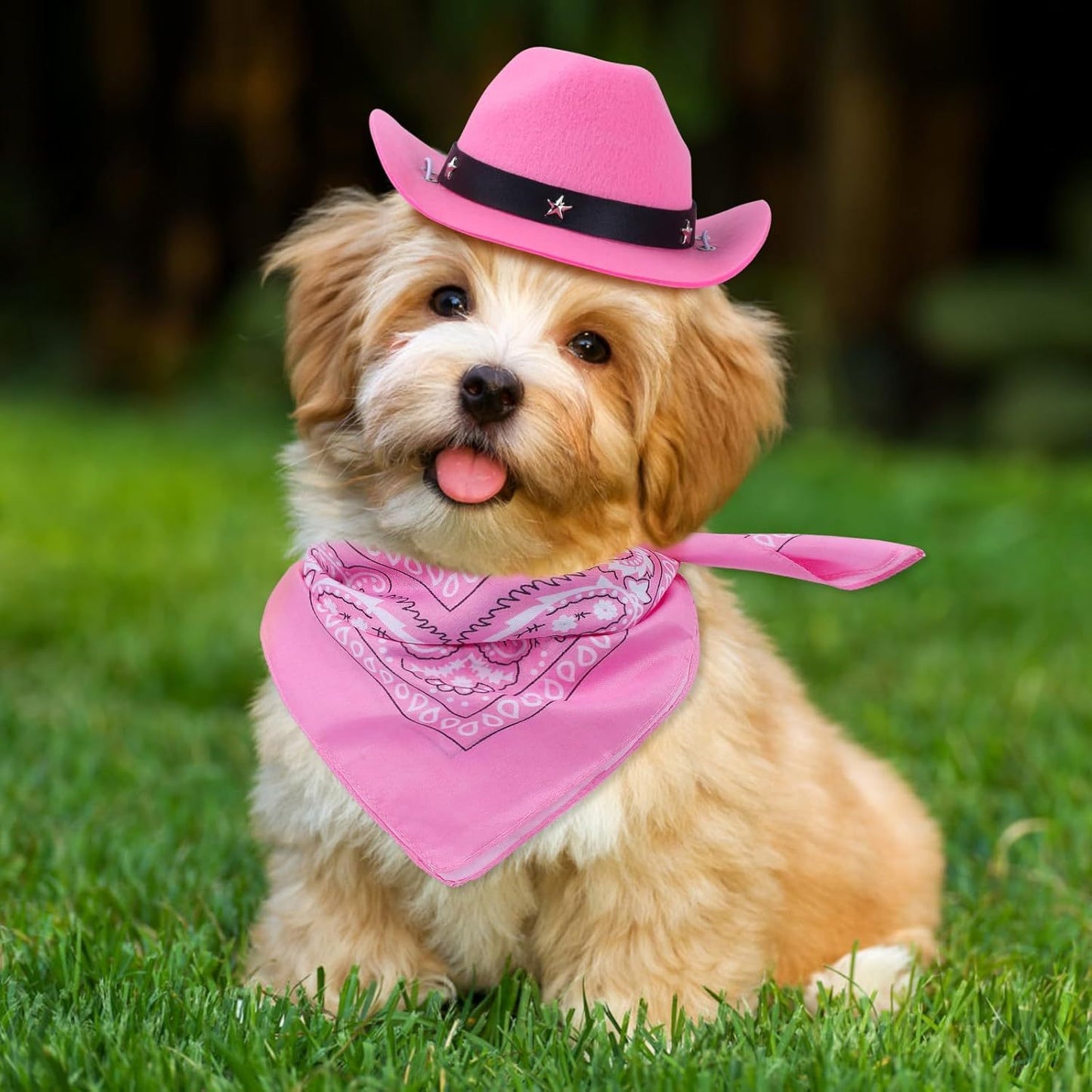 Cat Cowboy Costume Cat Cowboy Hat And Bandana Set